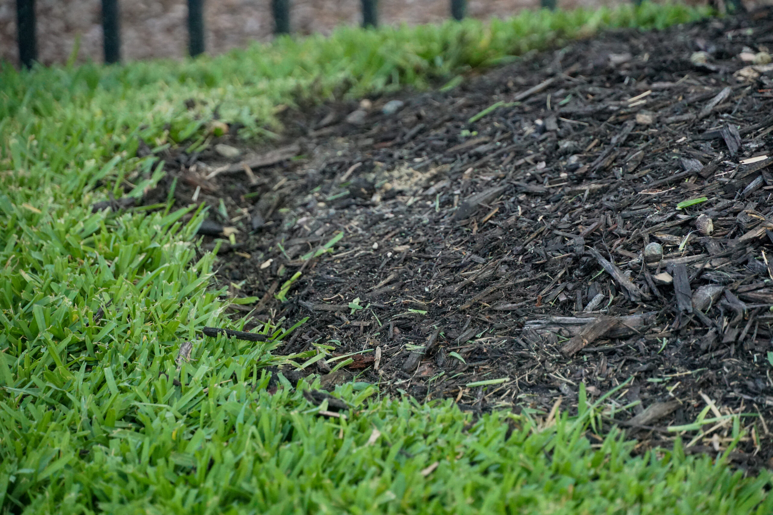 What is mulch and its purpose? - Keith's Lawn Care - Ocala, FL