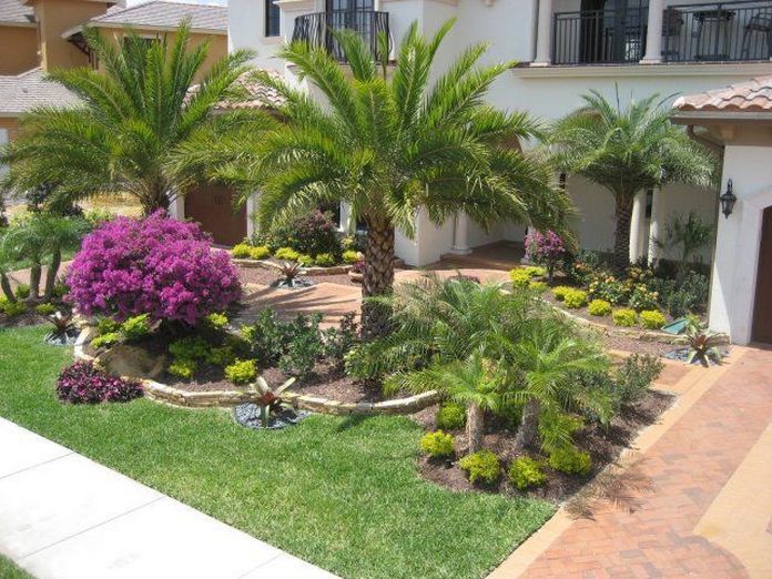 Landscaping in Florida