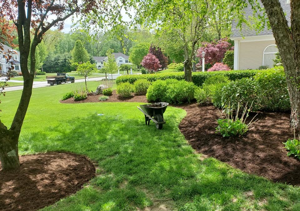 The Significance of Soft Landscaping