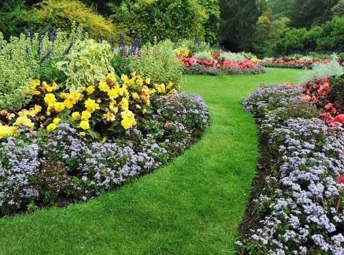 Transformative Effects of Soft Landscaping