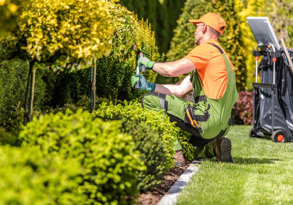 Environmental Benefits (Does Landscaping Increase Home Value?)