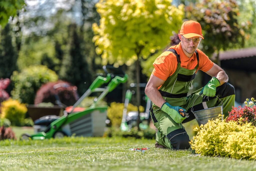 Maintenance and Care (Exploring the Responsibilities of a Landscaper)