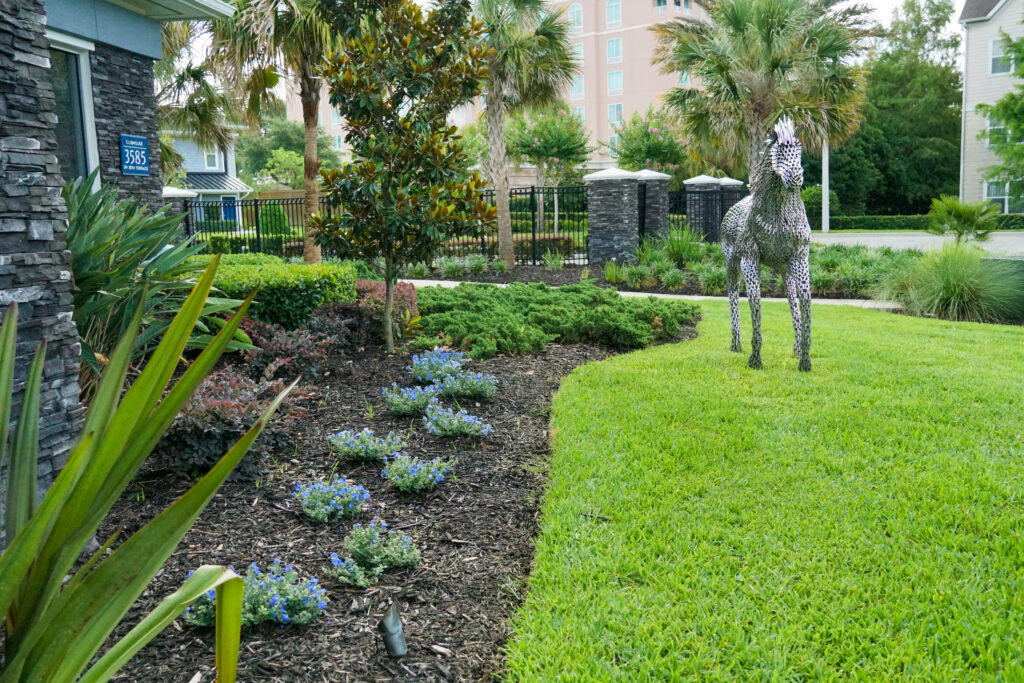 Curved landscape bed design with shrubs and fresh mulch in Ocala, FL.