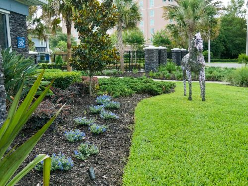 Curved landscape bed design with shrubs and fresh mulch in Ocala, FL.