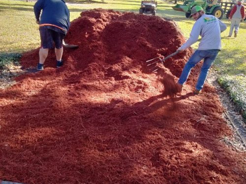 red mulch