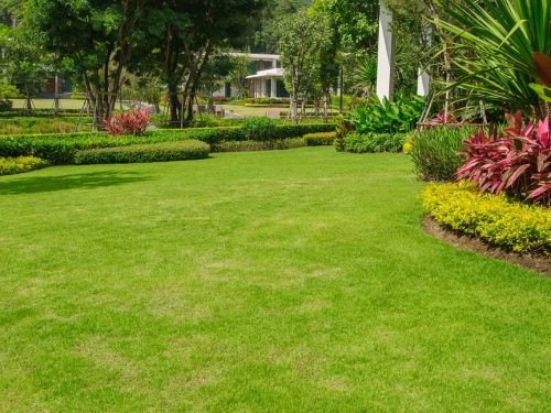 shutterstock_501226972